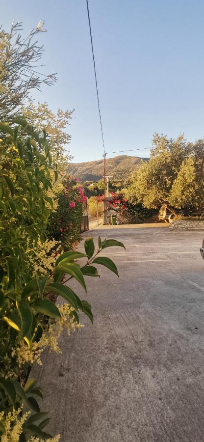 Apartment Apollon's