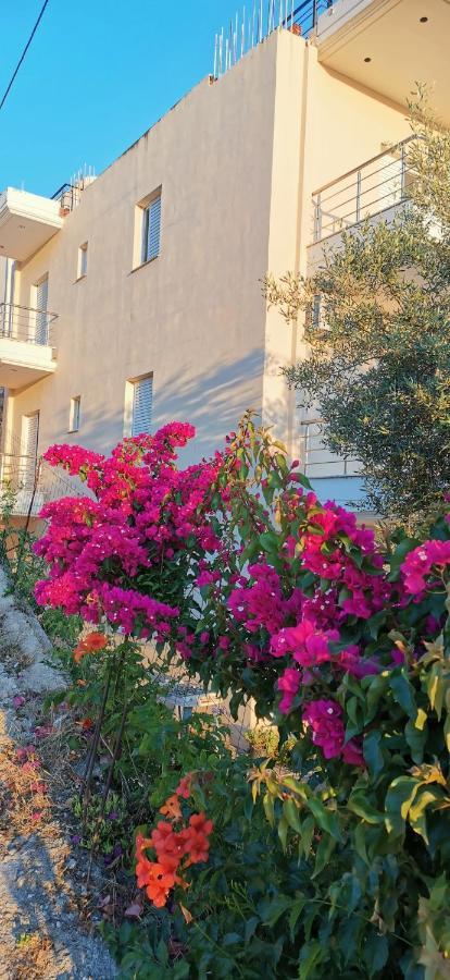 Apartment Apollon's